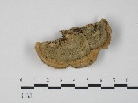 登錄號:F0004649藏品圖，第3張