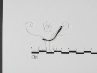 登錄號:F0004650藏品圖，第3張