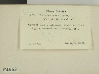 登錄號:F0004653藏品圖，第2張