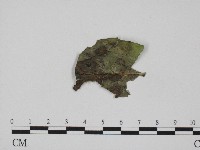 登錄號:F0004653藏品圖，第3張