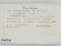 登錄號:F0004654藏品圖，第2張