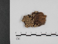 登錄號:F0004655藏品圖，第1張