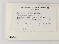 登錄號:F0004656藏品圖，第2張