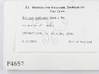 登錄號:F0004657藏品圖，第2張