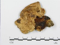 登錄號:F0004657藏品圖，第1張