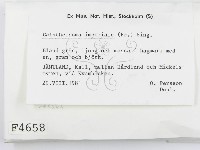 登錄號:F0004658藏品圖，第2張