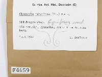 登錄號:F0004659藏品圖，第2張