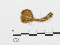 登錄號:F0004659藏品圖，第1張