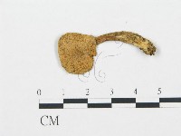 登錄號:F0004659藏品圖，第3張