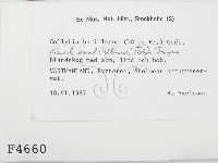 登錄號:F0004660藏品圖，第2張