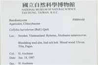 登錄號:F0004660藏品圖，第4張