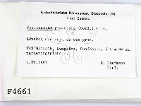 登錄號:F0004661藏品圖，第2張