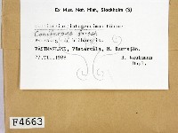 登錄號:F0004663藏品圖，第2張