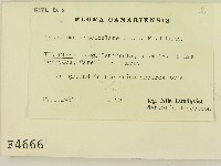 登錄號:F0004666藏品圖，第2張