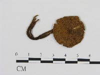 登錄號:F0004667藏品圖，第3張