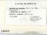 登錄號:F0004668藏品圖，第2張