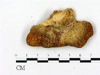 登錄號:F0004668藏品圖，第1張