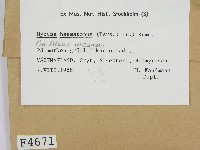 登錄號:F0004671藏品圖，第2張