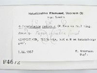 登錄號:F0004672藏品圖，第2張