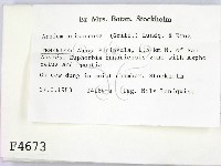 登錄號:F0004673藏品圖，第2張