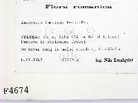 登錄號:F0004674藏品圖，第2張