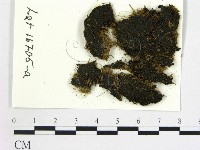 登錄號:F0004674藏品圖，第1張