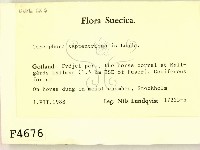 登錄號:F0004676藏品圖，第2張