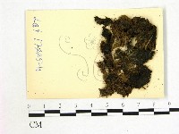 登錄號:F0004676藏品圖，第1張