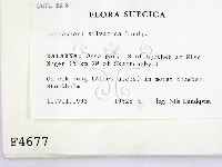 登錄號:F0004677藏品圖，第2張