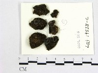 登錄號:F0004677藏品圖，第1張