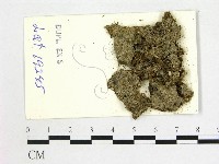 登錄號:F0004678藏品圖，第1張