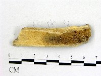 登錄號:F0004680藏品圖，第3張