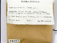 登錄號:F0004683藏品圖，第2張