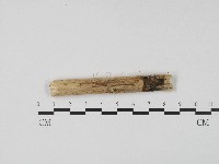 登錄號:F0004684藏品圖，第1張