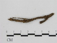 登錄號:F0004686藏品圖，第1張