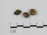 登錄號:F0004687藏品圖，第1張