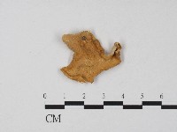 登錄號:F0004688藏品圖，第1張