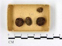登錄號:F0004689藏品圖，第1張