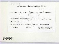 登錄號:F0004690藏品圖，第2張
