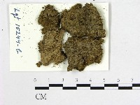 登錄號:F0004691藏品圖，第1張