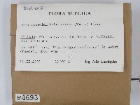 登錄號:F0004693藏品圖，第2張