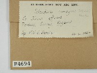 登錄號:F0004694藏品圖，第2張