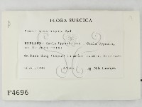 登錄號:F0004696藏品圖，第2張