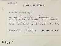 登錄號:F0004697藏品圖，第2張