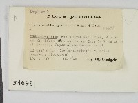 登錄號:F0004698藏品圖，第2張