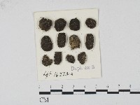 登錄號:F0004698藏品圖，第1張