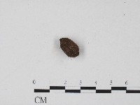 登錄號:F0004700藏品圖，第1張