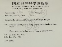 登錄號:F0004701藏品圖，第2張