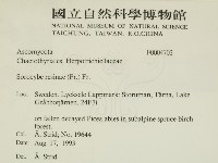 登錄號:F0004702藏品圖，第2張