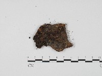 登錄號:F0004702藏品圖，第3張